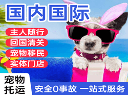 喀什航空托运国际宠物托运 【国